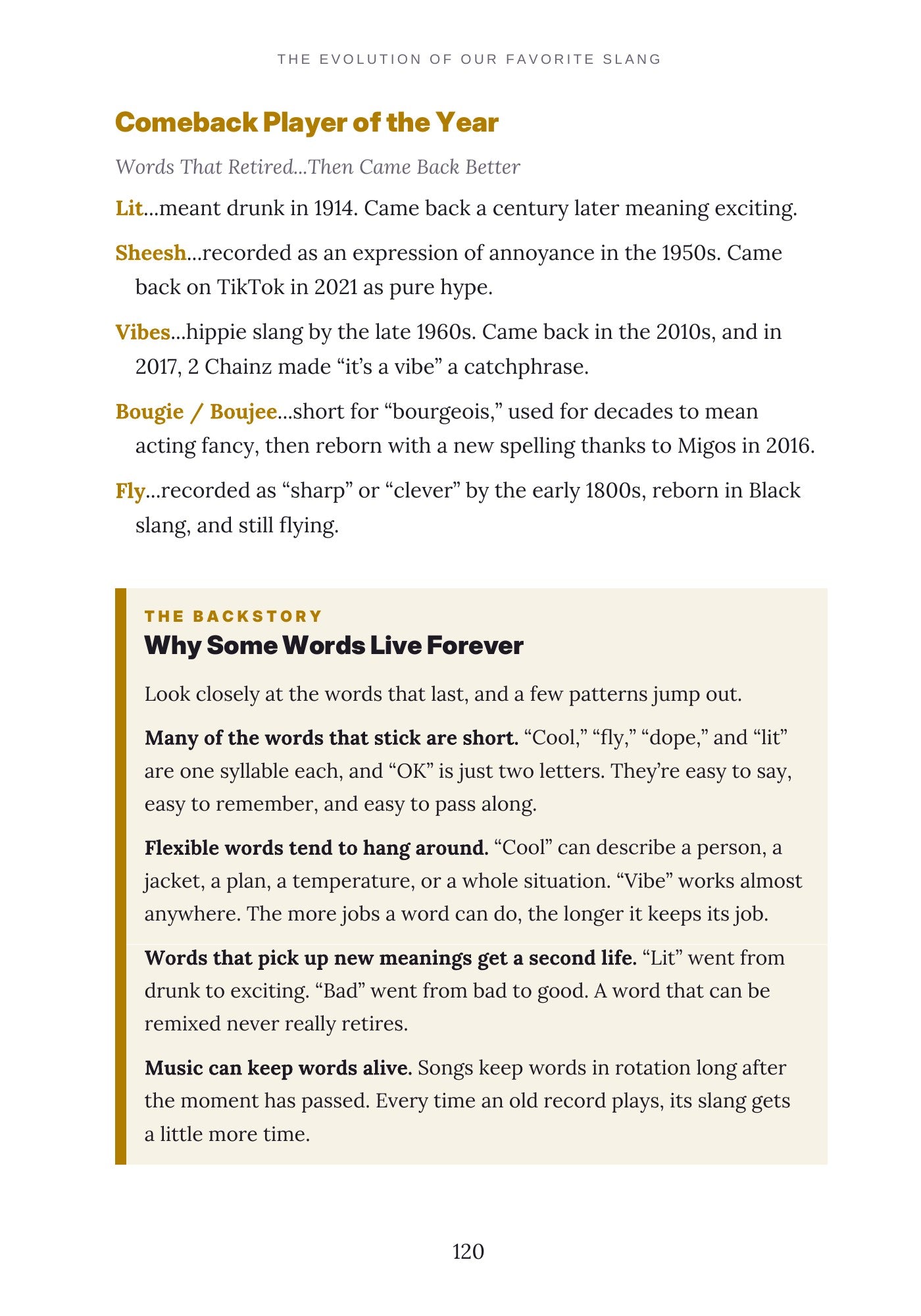 Slang History Book PDF | The Evolution of Our Favorite Slang, Funny Full-Color Gift Book from Booty Call to Sneaky Link, Instant Digital Download
