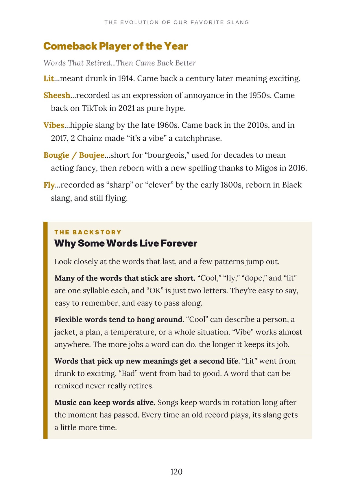 Slang History Book PDF | The Evolution of Our Favorite Slang, Funny Full-Color Gift Book from Booty Call to Sneaky Link, Instant Digital Download