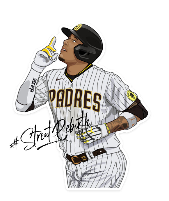 Waterproof vinyl sticker featuring an original baseball illustration