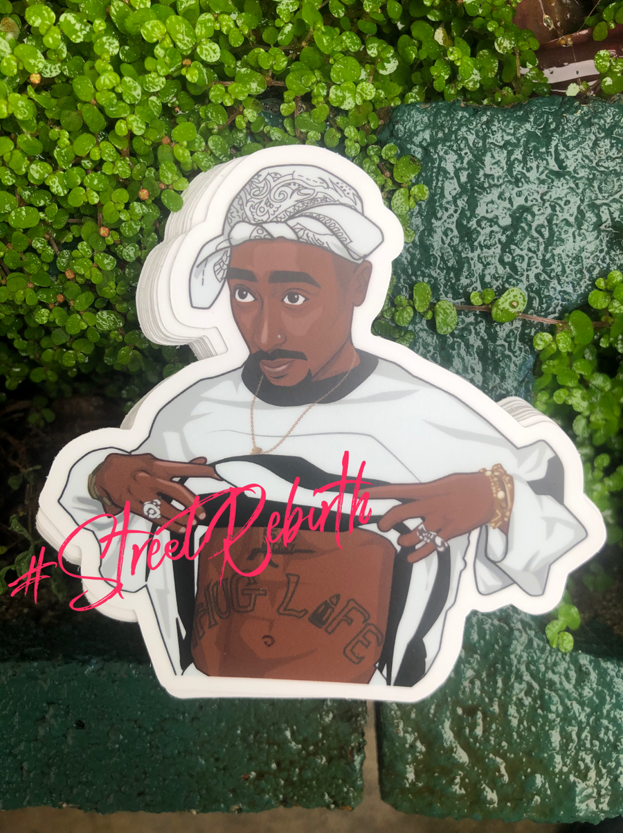 Waterproof vinyl sticker featuring an original colorful illustration