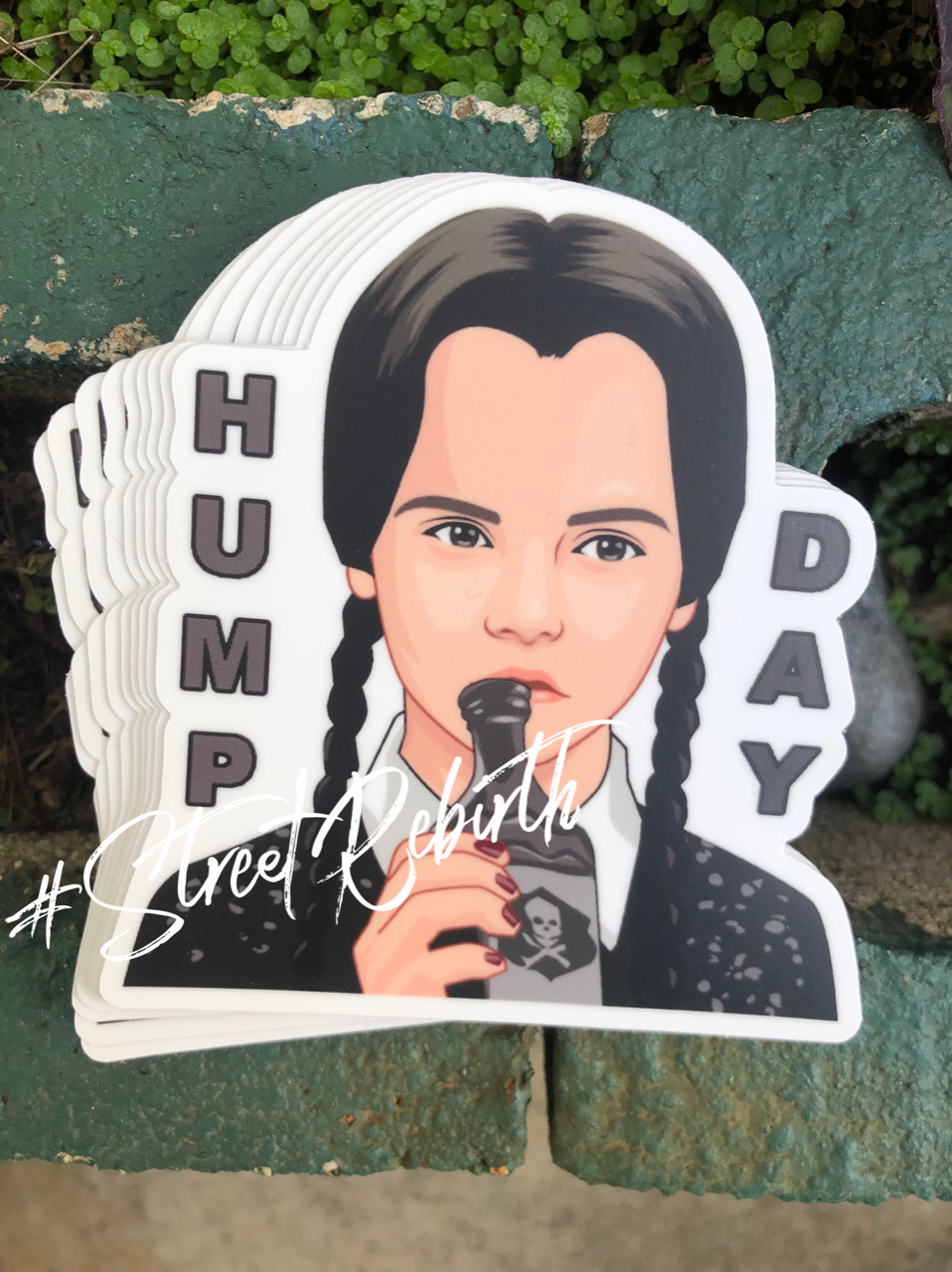 1 Hump Day Sticker – One 4 Inch Water Proof Vinyl Sticker – For Hydro Flask, Skateboard, Laptop, Planner, Car, Collecting, Gifting