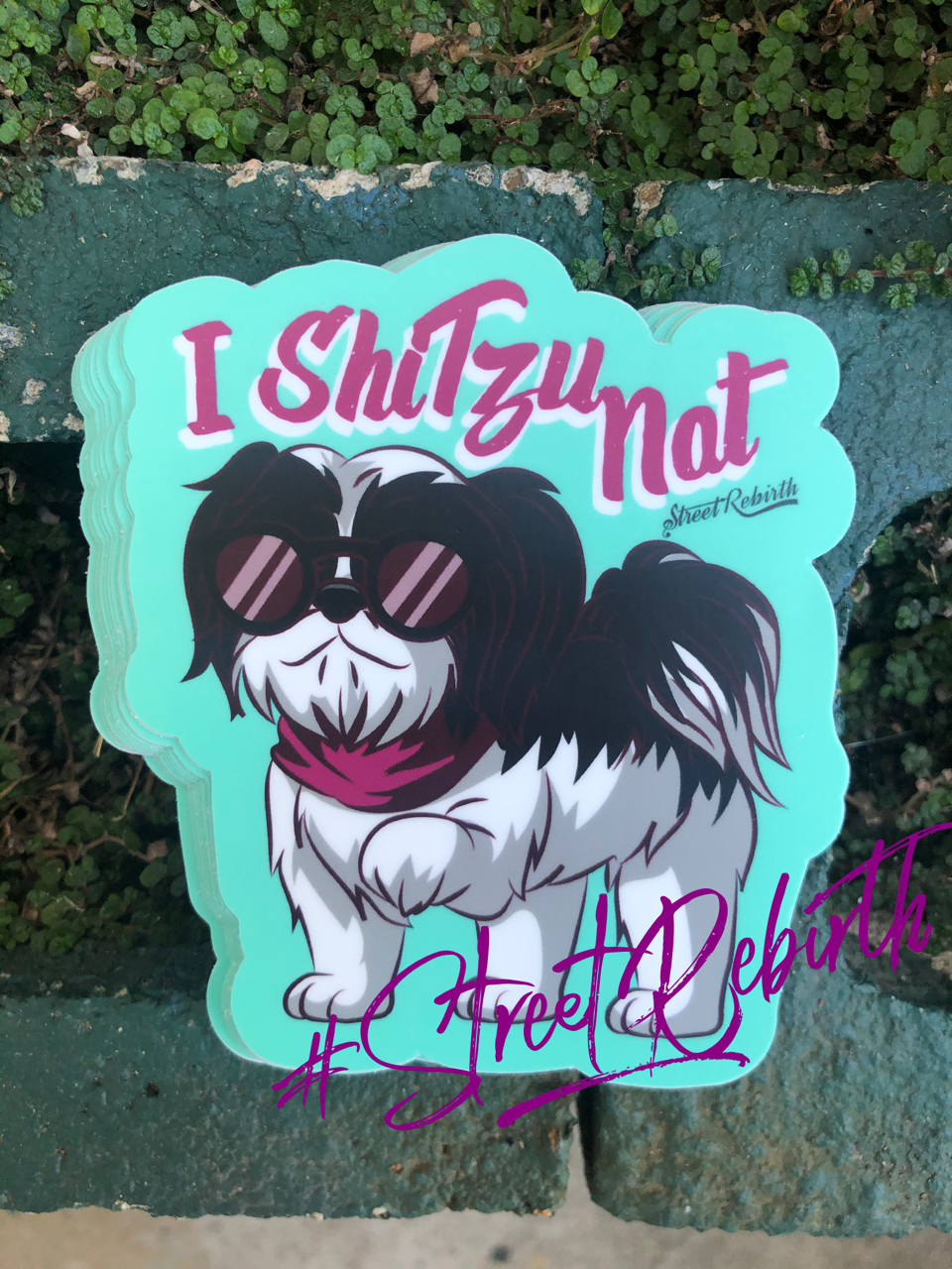 1 I Shitzu Not Sticker – One 4 Inch Water Proof Vinyl Sticker – For Hydro Flask, Skateboard, Laptop, Planner, Car, Collecting, Gifting