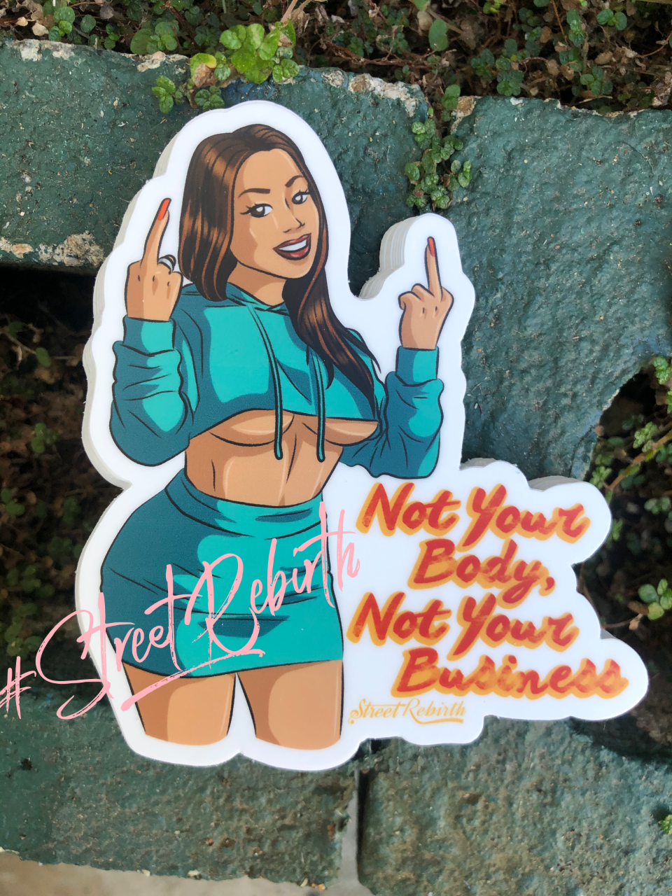 1 Not Your Body Not Your Business Sticker – One 4 Inch Water Proof Vinyl Sticker – For Hydro Flask, Skateboard, Laptop, Planner, Car, Collecting, Gifting